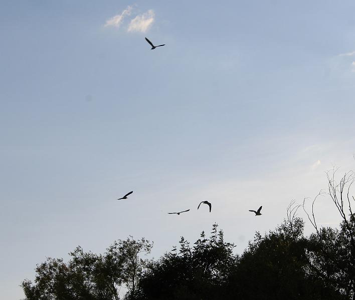 IMG_6791 2.JPG